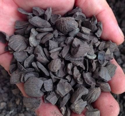 5 results for palm kernel shell price. Buy Palm Kernel Shell(id:22711586) - SYNERGY COMMUNICATION ...