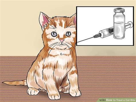 Cat bite wounds should be always be cleaned carefully with antiseptic or antibiotic cleansers and an antibiotic ointment applied. How to Treat a Cat Bite: 14 Steps (with Pictures) - wikiHow