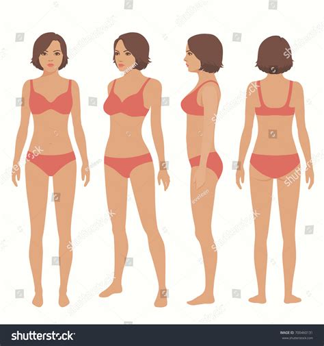 Full length front back human silhouette vector. Human Body Anatomy Front Back Side Stock Vector 700460131 ...