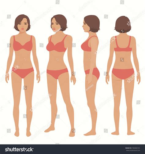 We have an existing solution which uses jpg images, map, area and svg tags to render a human body and allow a user to hover the mouse cursors over them and choose an area. Human Body Anatomy Front Back Side Stock Vector 700460131 ...