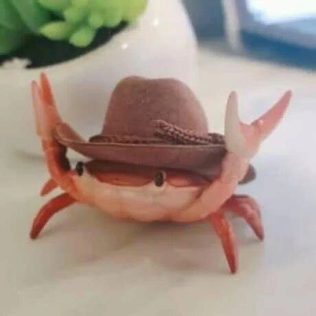 (they melt!) what do you get when you cross a cow and a goat? Cowboy Crab