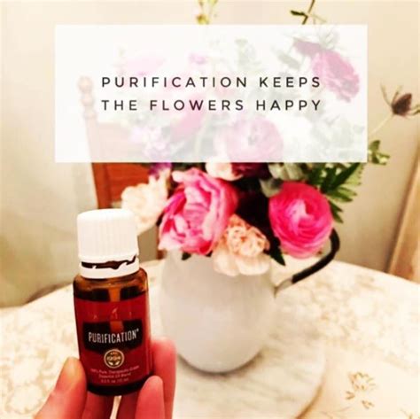Check spelling or type a new query. Keep flower fresh with 2 drops of Purification essential ...