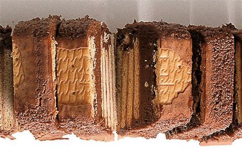 Exquisite auswahl der besten kuchen und feinen kekse in großer auswahl, die direkt bestellt werden können. Einfacher Schoko-Keks-Kuchen • Rezept • GUSTO.AT