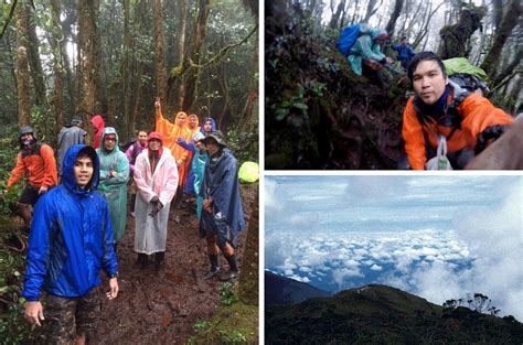 We did not find results for: Setiap Pendaki Wajib Tawan 7 Gunung Tertinggi di ...