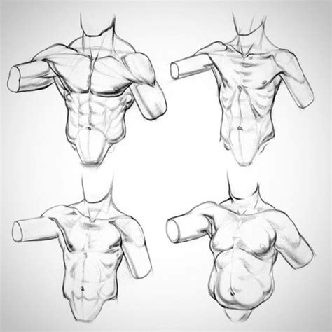 Full lesson on drawing three types of male torso, with real life explanations on muscles, adapted for manga and anime. What Are The Fundamentals Of Art? (And How To Learn Them)