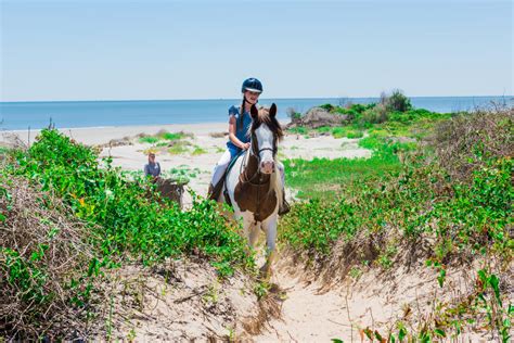 Simons island naturalists offer a host of daily interpretive excursions to immerse our guests in the ecology of georgia's barrier islands and the plants and wildlife that can be found in this diverse environment. The Stables at Frederica | St. Simons Island, GA 31522