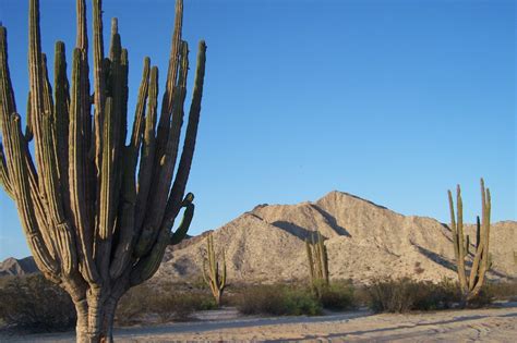 After rehabilitation efforts are completed on the desert line portion of the railroad. One of the best kept promises of Baja California is the ...