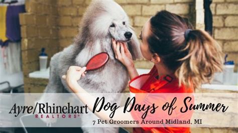 A dog groomer (or simply groomer) is a person who earns their living grooming dogs. 7 Dog Groomers Around Midland, MI - Ayre/Rhinehart REALTORS®