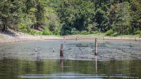 If you end up going and might like some recommendations for places to check out on your trip or things to do in hot springs. Boat Tour of Lake Ouachita - FLW Fishing: Articles