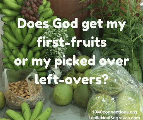 Are avocados safe for my dog? My Fruits : My Fruits Myfruits : I think a lot depends on whether your image of fruitcake is dry ...