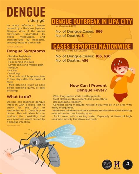 These dengue fever symptoms appears two. Dengue Outbreak in Lipa City - Hello Lipa