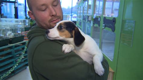 Pet stores often sell a variety of bulk pet treats by the pound from open canisters. 13 Puppies Found, Arrests Made After NH Pet Store Break-In ...