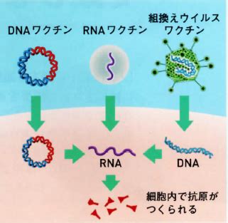 インディゴになりたい。 広告ありがとうございます。 出川 これが一番怖い おるやん 浮遊霊と化したカツドン カツドンやん ブレてるだけやん おるやんwww カツドンかな? ポストさんてん日記 新型コロナに対して世界初の使用許可を ...