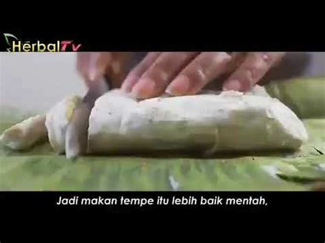 Penyakit maag akut dapat terjadi tanpa diketahui penyebabnya. Khasiat Tempe Sebagai obat Maag dan Asam Lambung menurut ...