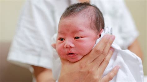 Bayi muntah menyembur saat menyusu sebetulnya wajar karena sistem pencernaan bayi belum berkembang sempurna. Anak Muntah Selepas Minum Susu Formula - Zafrina