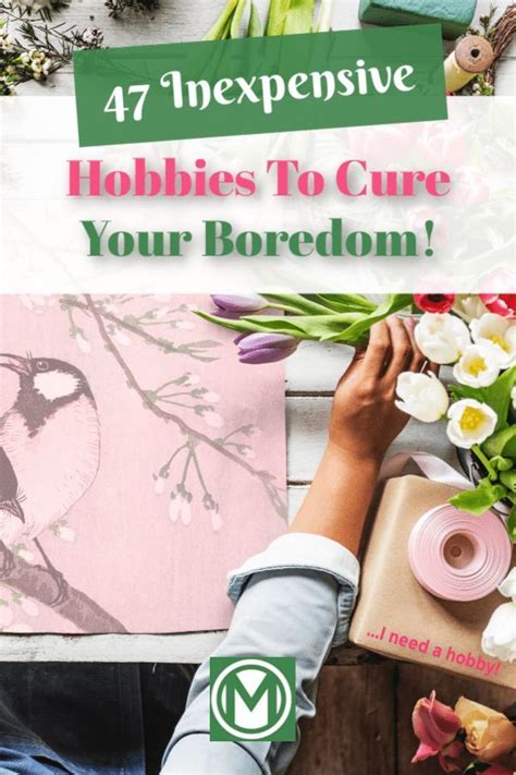 47 Inexpensive Hobbies To Cure Your Boredom (I Need A ...