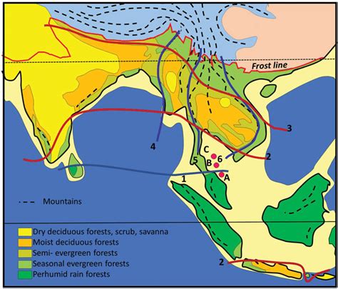 There are flexible customization options and dozens of tools to help you understand where. Vegetation map of South and South-East Asia, simplified ...