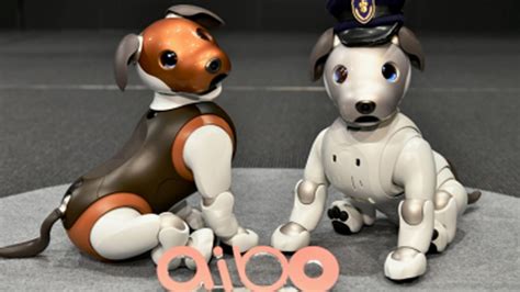 Elige entre nuestra selección de camisetas para mujer y renueva tu fondo de armario. Aibo, el perro robot de Sony, ya tiene su versión "policía ...