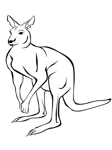 Download Kangaroo coloring pages. Download and print Kangaroo ...
