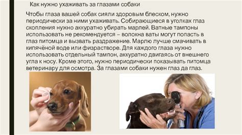 Уход за носом, глазами, ушами презентация, доклад