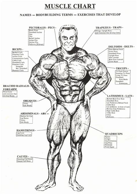 We did not find results for: Muscle Anatomy Chart Inspirational Check the Best ...