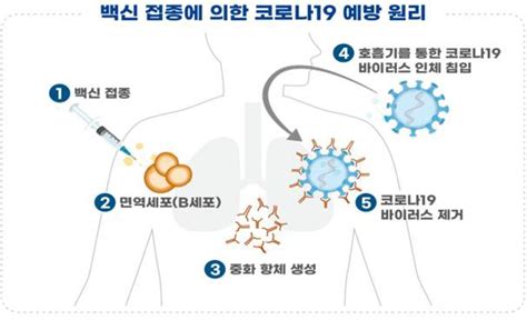 3 years ago3 years ago. 식약처, 국내 개발 코로나19 백신 '유코백-19' 임상 계획 승인 ...