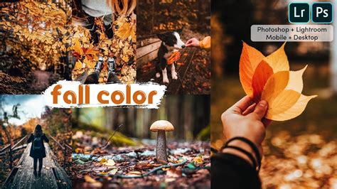 Lightroom editing emotional moody photoediting photography photoshop retouching lightroompreset lightroomretouching. COLOR GRADING PRESET - MOODY FALL COLOR TONE PRESET ...