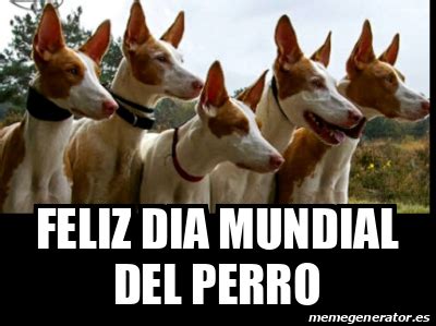 Cada año, centenares de perros y gatos son eutanasiados en nuestro país. Meme Personalizado - Feliz dia mundial del perro - 31792540