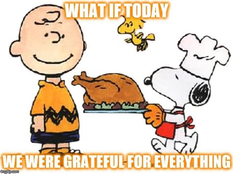 Funny Happy Thanksgiving Memes 2020 | Best Turkey Memes