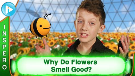 Apr 08, 2021 · a blunt's stronger smell is more likely to stick to clothing, while a bong session's smell typically dissipates with a quick step outside. Why Do Flowers Smell Good? - YouTube