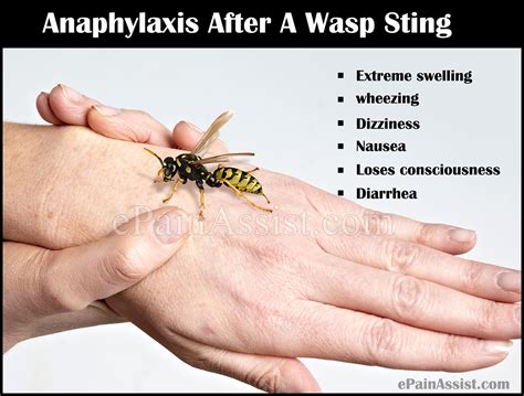 Treating bee and wasp stings depends on their severity. Can You Be Allergic To Wasps And Bees | Mice