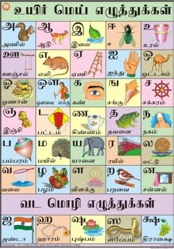 The first two letters of ka varga are classified as hard consonant, surd, agosha, svasa letters or in sanskrit zu urgell. Tamil Alphabet Poster - Oppidan Library