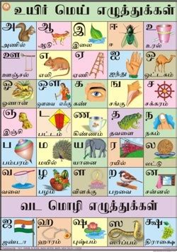 Images and words are also used to help you understand each letter and learn a word for each letter. Tamil Alphabets For Kids | Free & HD!