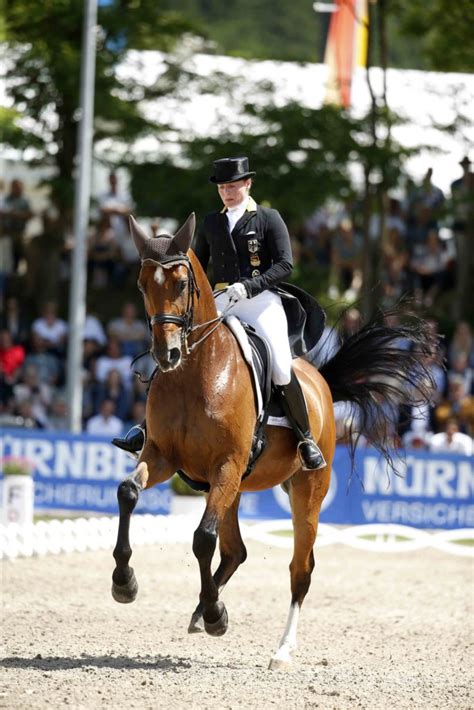 Jun 17, 2021 · fall andrew kocher: DM Balve: Emilio und Isabell Werth mit fast 90 Prozent zum ...