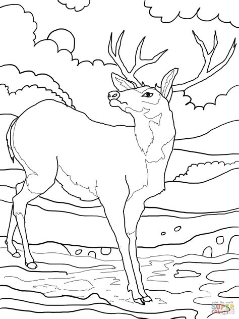 Free printable coloring pages for adults. Deer printable pictures | SuperColoring. | Deer coloring ...