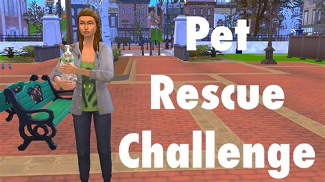 Klik hier om pet rescue te spelen. LET'S SAVE THE STRAYS! - Pet Rescue Challenge 001 - The ...