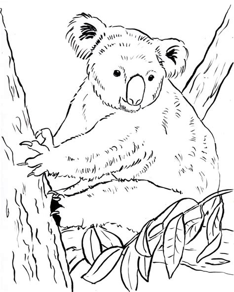 Koala kid movie coloring pages can be useful for teachers and parents who cares about kids development coloring page resolution: Koala Bear Coloring Page - Art Starts