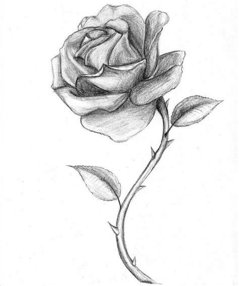 Te atreves?materiales que vamos a utilizar:pape. 1001 + ideas sobre cómo dibujar una rosa paso a paso ...