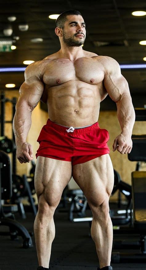 The description includes purpose, muscle groups to be trained and approximate cost of equipment. Men and their MUSCLES image by Darryl Monti Kotrys | Body ...