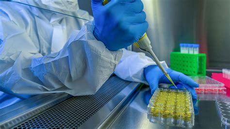 Como resultado, la vacuna de oxford no tiene. Vacuna de AstraZeneca logra fuerte respuesta inmune contra ...