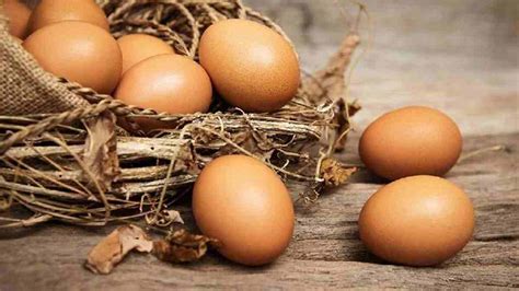 Harga barang makanan masih dalam keadaan terkawal sepanjang tempoh perintah kawalan pergerakan (pkp) sejak dua minggu lalu. Jelang Ramadan, Harga Telur Ayam di Ciamis Naik 30% ...