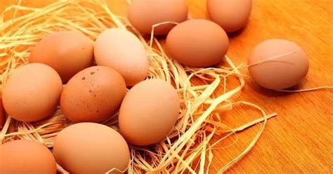 Check spelling or type a new query. Apa yang Dimaksud Salmonella? | Belajar Sampai Mati