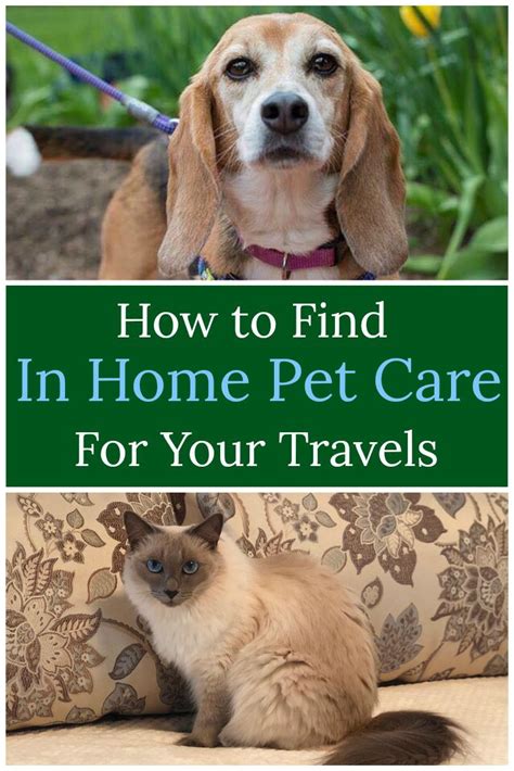 Earn extra money taking care of animals. Alternatives to Kennels: In Home Pet Care - Why You Should ...