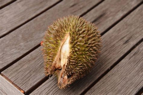 Aku tak sadar, bahwa aku sudah terangsang oleh ibu mertuaku sendiri! 10 Panduan Pilih Durian Yang Isinya Banyak Ulas, Masak ...