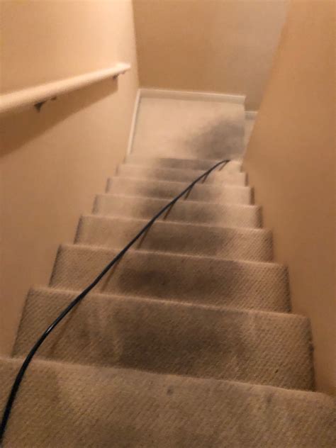 We are a full service professional carpet cleaning, upholstery cleaning, tile and grout cleaning company in orange county with 17 years experience in our industry. Carpet Cleaning - Pacific Carpet Care