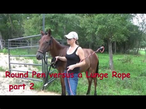 Lunging is where the horse walks, trots and lopes around you. Groundwork for Horses, Round Pen versus a Lunge Rope part ...