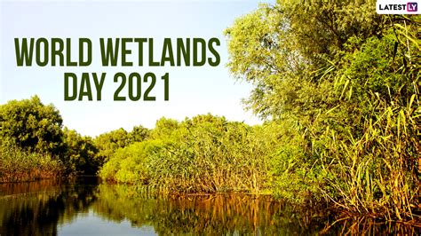 The first use of chocolate dates back to 450 bc in the territory of modern mexico. World Wetlands Day 2021 Date and Theme: Know the ...