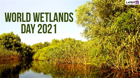 Amid the coronavirus pandemic, the theme of the 47th world environment day is 'ecosystem restoration.' the focus of this day is on resetting relations with nature. World Wetlands Day 2021 Date and Theme: Know the ...