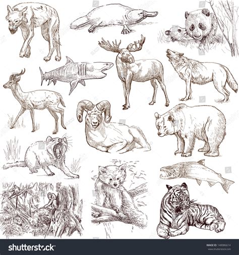 Check spelling or type a new query. Animals Around The World (Collection No.2, White ...