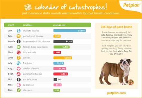 Our pet health insurance plan pays on your actual veterinary bill and covers new accidents and illnesses, cancer, emergencies, genetic conditions is pet insurance worth it? Seasonal Diseases: Petplan Reveals 2016's Top Pet Health ...